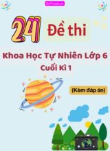Tổng hợp 24 Đề thi Tự luận KHTN 6 cuối Kì 1 (Kèm đáp án)